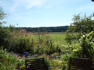 View from the terrace