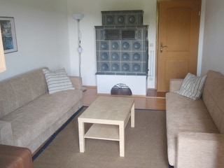 Living room with stove