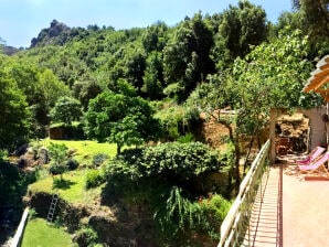 Holiday apartment Restored old mill beside the river - Saint-Florent - image1