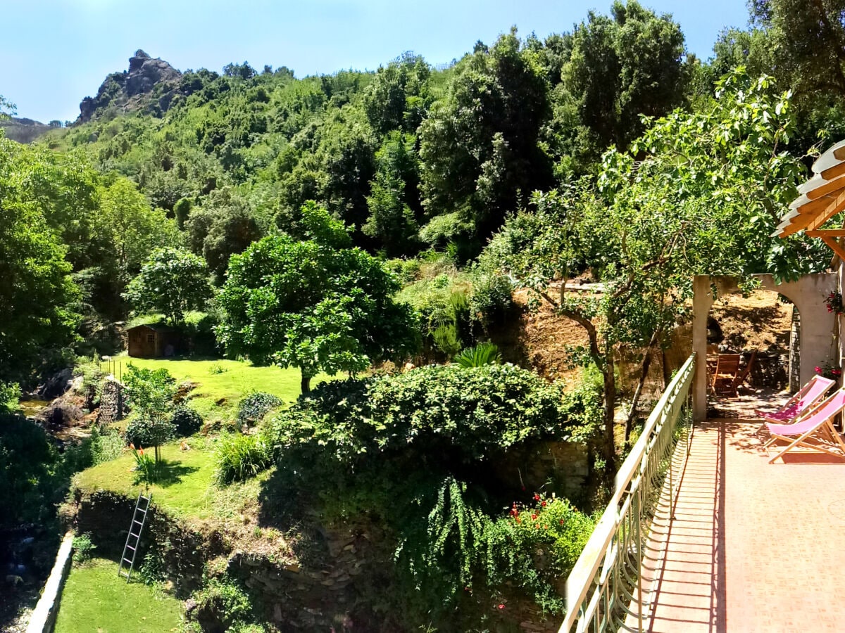 Le Vieux Moulin - Garden