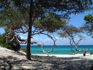 Vakantieappartement Saint-Florent Omgeving 14