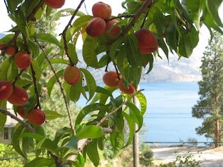 Apartamento de vacaciones Peachland  18