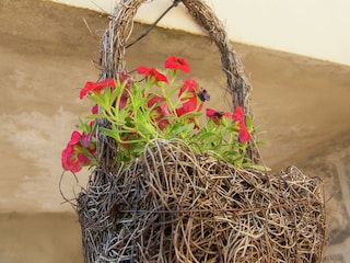 Holiday house La Chapelle-aux-Brocs  36