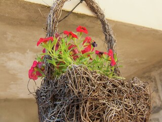 Maison de vacances La Chapelle-aux-Brocs  38