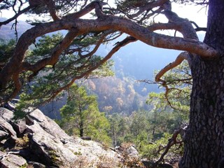 Casa per le vacanze La Chapelle-aux-Brocs Ambiente 28