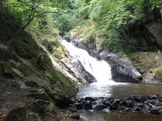Maison de vacances La Chapelle-aux-Brocs Environnement 35