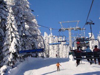 Appartement Sonnenalpe Nassfeld Environnement 24