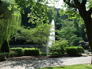 Bild Bad Harzburg