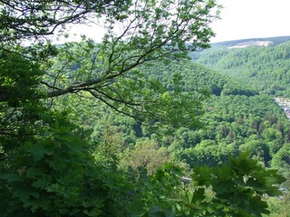 Blick vom Burgberg Bad Harzburg