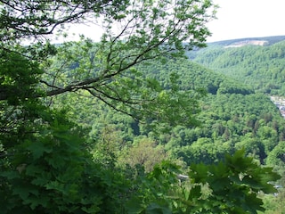 Blick vom Burgberg