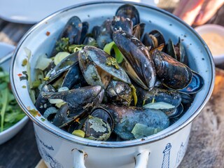 Chalet Burgh-Haamstede Ambiente 21