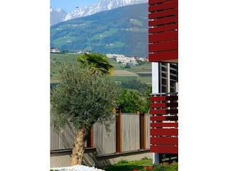 Appartement Algund Omgeving 3