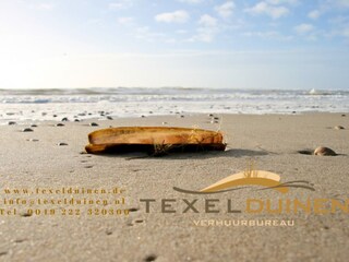 Appartamento per vacanze Den Hoorn Documento 38