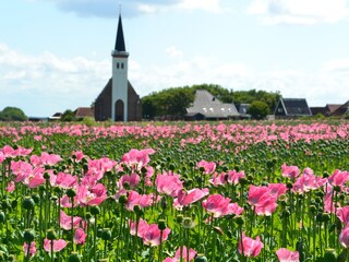 Appartamento per vacanze Den Hoorn Ambiente 34