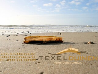 Appartamento per vacanze Den Hoorn Documento 35