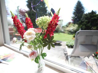 View out of the huge bay window in our living room.