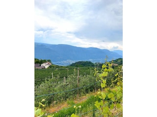 Ferienwohnung Lana Außenaufnahme 17