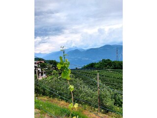 Vakantieappartement Lana Buitenaudio-opname 18