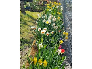 Ferienwohnung Lana Außenaufnahme 20