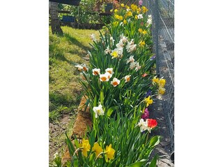 Vakantieappartement Lana Buitenaudio-opname 20