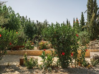 Villa Xenophon: Garden