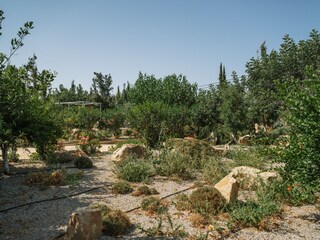 Villa Xenophon: Garten