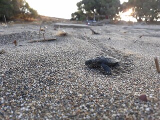 Villa Pitsidia Environnement 29