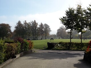 View 1