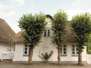 Ferienhaus Witje Hüs - Wyk auf Föhr - image1