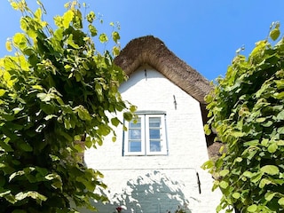 Ferienhaus Wyk auf Föhr Ausstattung 24