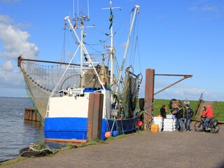 Maison de vacances Dangast Environnement 24