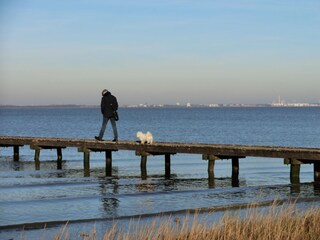 Maison de vacances Dangast Environnement 19