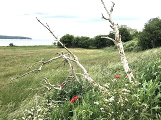 Apartamento de vacaciones Baabe Documento 42