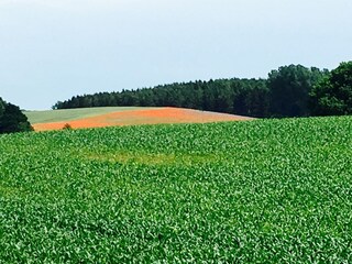 Appartamento per vacanze Baabe Ambiente 37