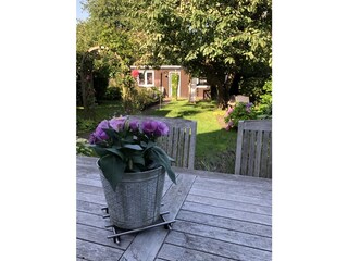 Blick von der Terrasse in den Garten