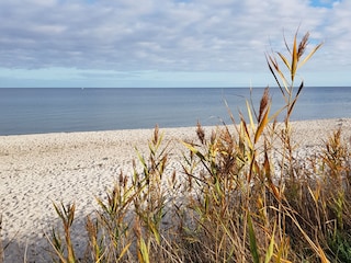 Strand in Kronsgaard