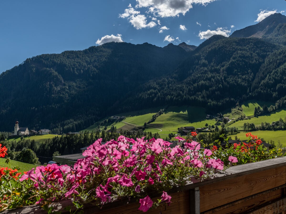 Das Leben ist eine Reise, die heimwärts führt