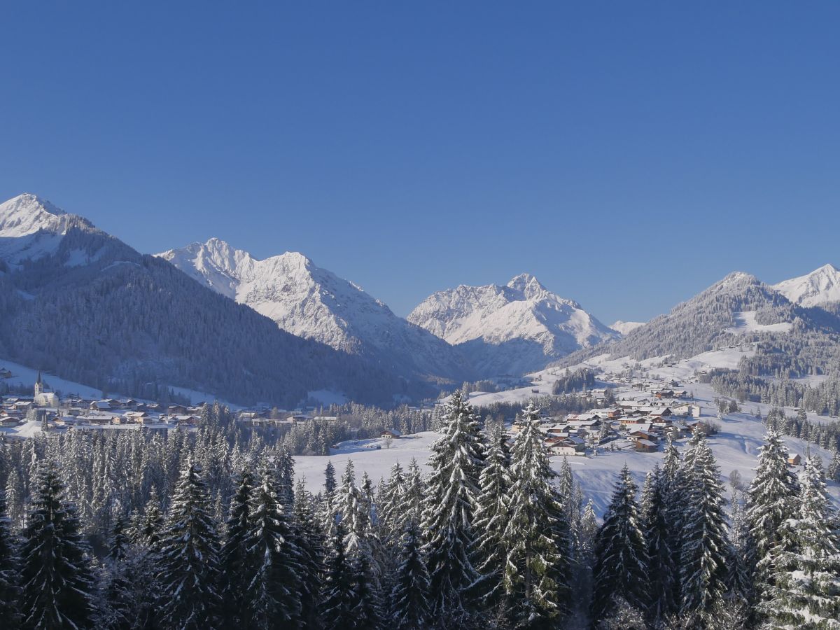 Panoramic view from the balcony in winter