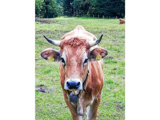 Appartamento per vacanze Garmisch-Partenkirchen Registrazione all'aperto 7