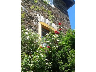 Casa per le vacanze Enkirch Registrazione all'aperto 10