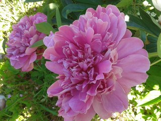 Casa per le vacanze Enkirch Ambiente 20