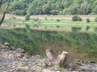 Casa per le vacanze Enkirch Ambiente 19