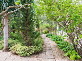 Villa Santa Maria del Camí  52