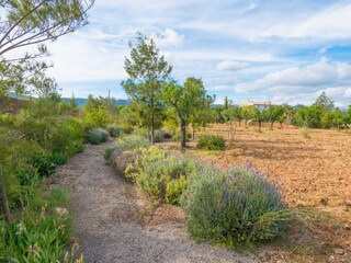 Villa Santa Maria del Camí  48