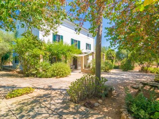 Villa Santa Maria del Camí  61