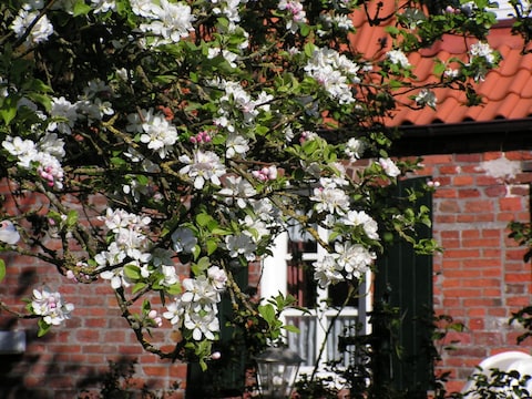 Ferienwohnung Lüttje Huus