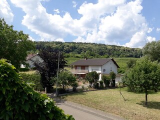 Ausblick vom Balkon in die Weinreben