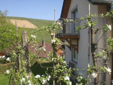Ferienwohnung Kastanienhalde