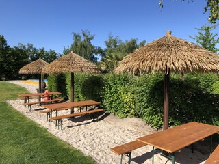 Irrgarten Alfsee