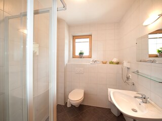 Appartamento per vacanze Ramsau im Zillertal Caratteristiche 8